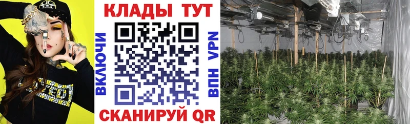 Как найти закладки Крымск Каннабис  Метамфетамин  A-PVP  ГАШИШ  COCAIN  Меф 